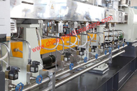 PET twin screw recyling and granulation machine line